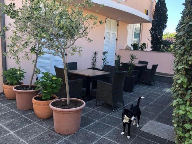 Apartments Eda バスカ エクステリア 写真